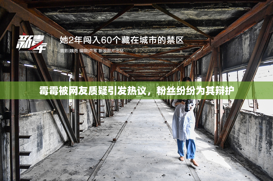 霉霉被网友质疑引发热议，粉丝纷纷为其辩护