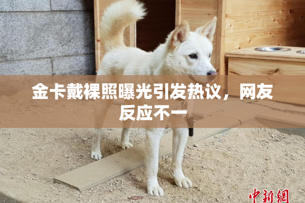 金卡戴裸照曝光引发热议，网友反应不一