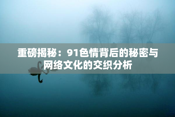 重磅揭秘：91色情背后的秘密与网络文化的交织分析