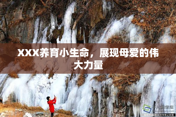 XXX养育小生命，展现母爱的伟大力量