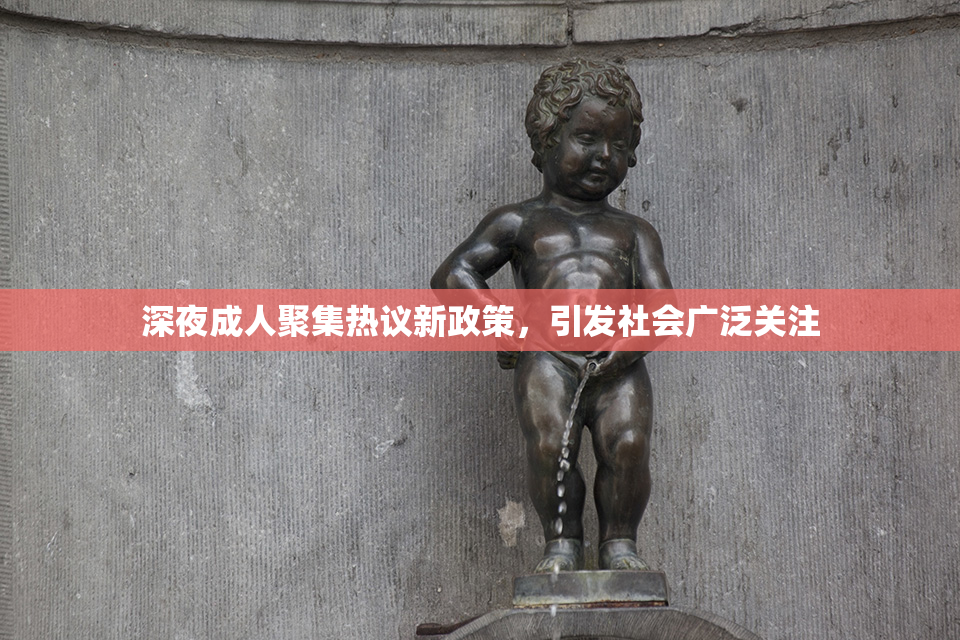 深夜成人聚集热议新政策，引发社会广泛关注