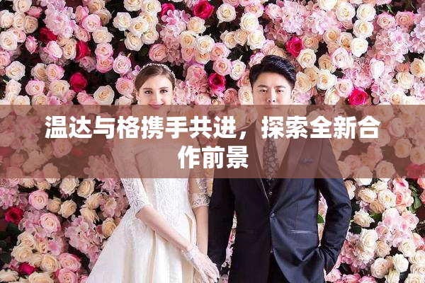 温达与格携手共进，探索全新合作前景