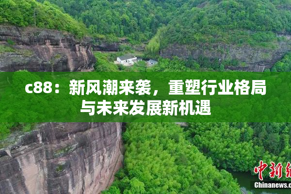 c88：新风潮来袭，重塑行业格局与未来发展新机遇