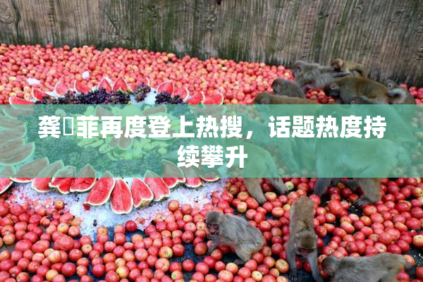 龚玥菲再度登上热搜，话题热度持续攀升