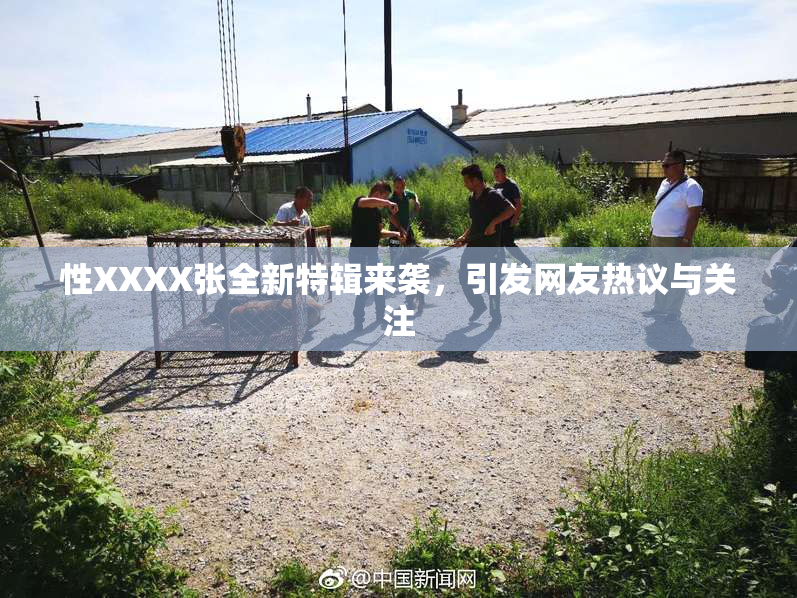 性XXXX张全新特辑来袭，引发网友热议与关注