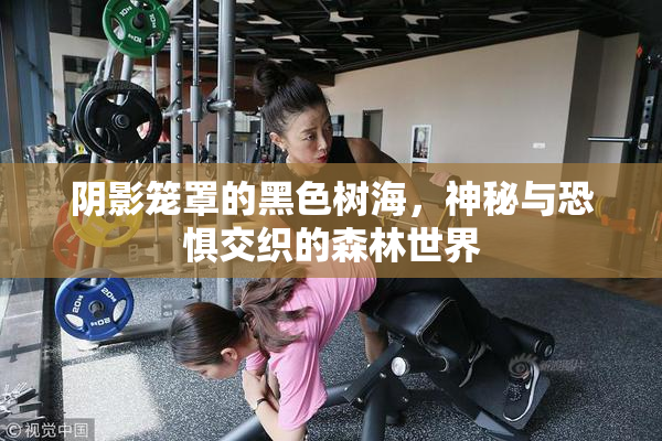 阴影笼罩的黑色树海，神秘与恐惧交织的森林世界