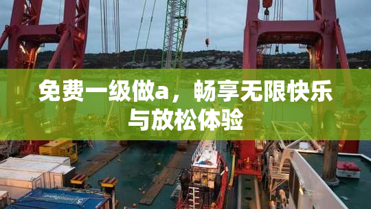 免费一级做a，畅享无限快乐与放松体验