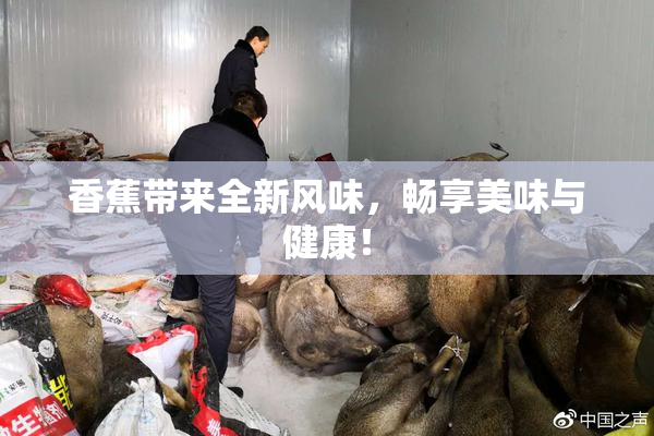 香蕉带来全新风味，畅享美味与健康！