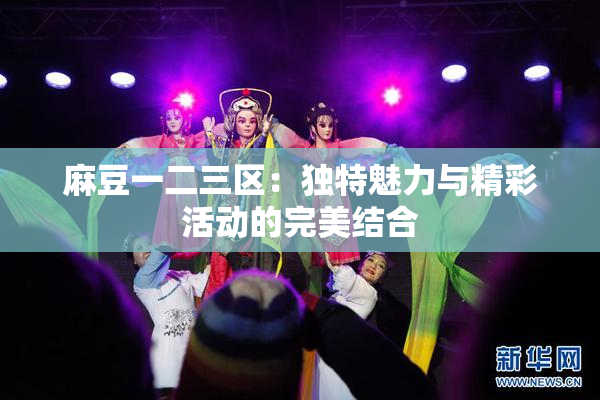 麻豆一二三区：独特魅力与精彩活动的完美结合