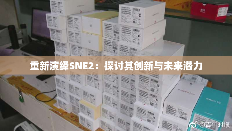 重新演绎SNE2：探讨其创新与未来潜力
