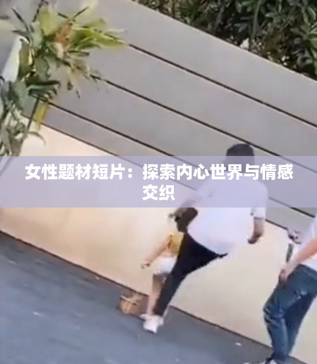 女性题材短片：探索内心世界与情感交织