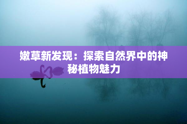 嫩草新发现：探索自然界中的神秘植物魅力