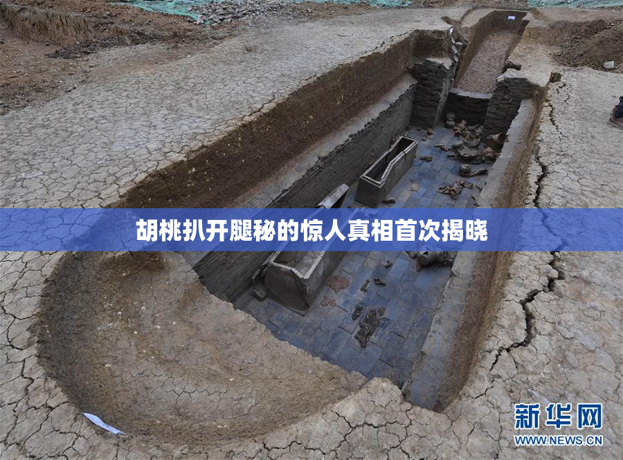 胡桃扒开腿秘的惊人真相首次揭晓