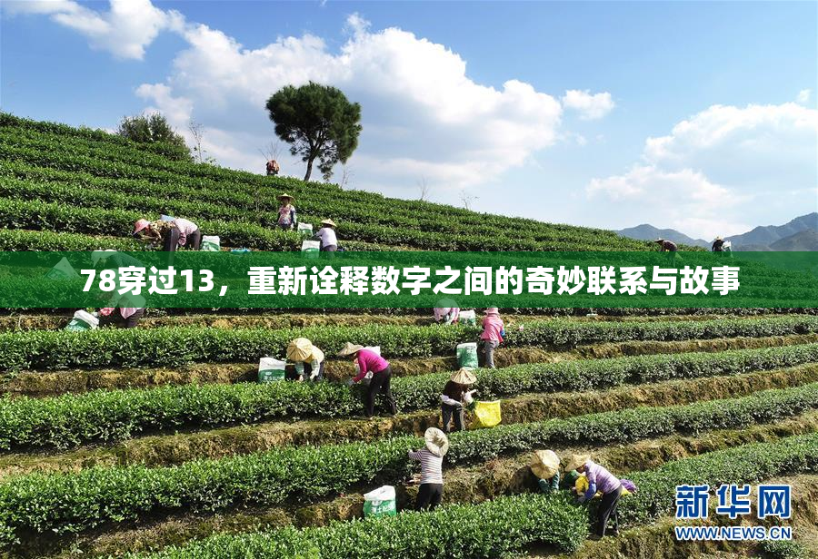 78穿过13，重新诠释数字之间的奇妙联系与故事