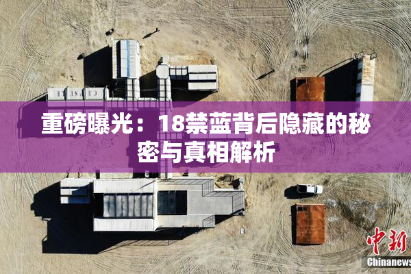 重磅曝光：18禁蓝背后隐藏的秘密与真相解析