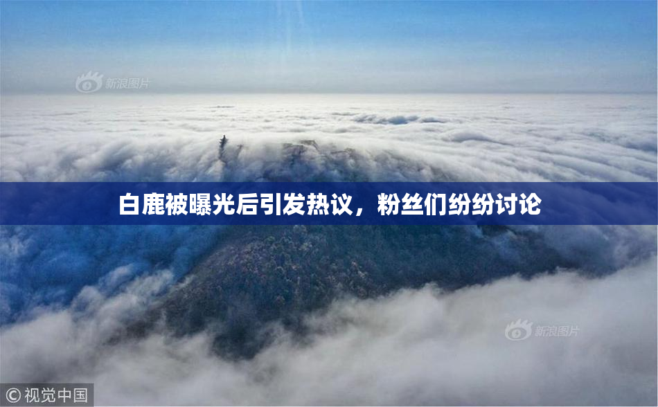 白鹿被曝光后引发热议，粉丝们纷纷讨论