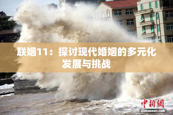 联姻11：探讨现代婚姻的多元化发展与挑战