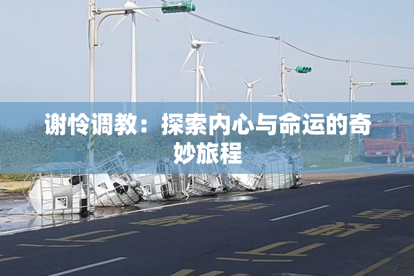 谢怜调教：探索内心与命运的奇妙旅程