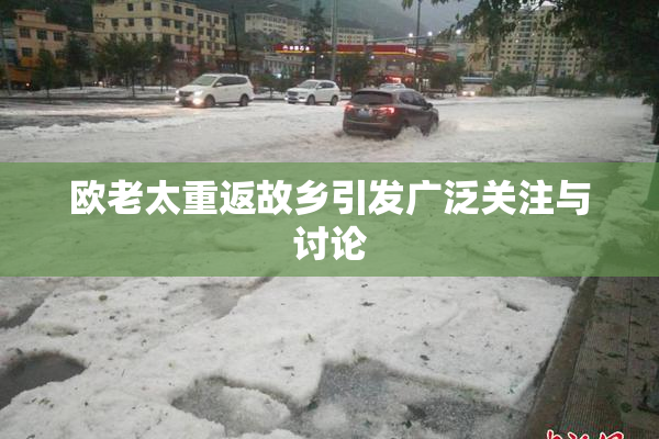 欧老太重返故乡引发广泛关注与讨论