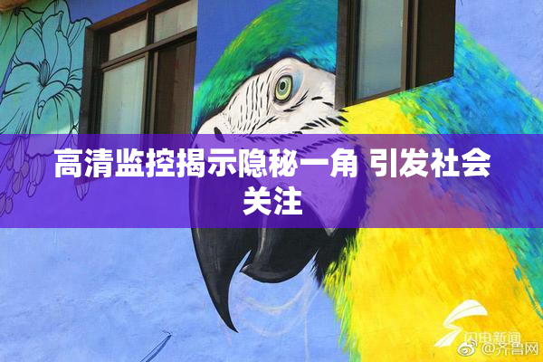 高清监控揭示隐秘一角 引发社会关注