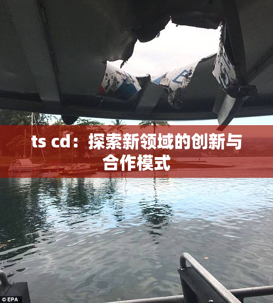 ts cd：探索新领域的创新与合作模式