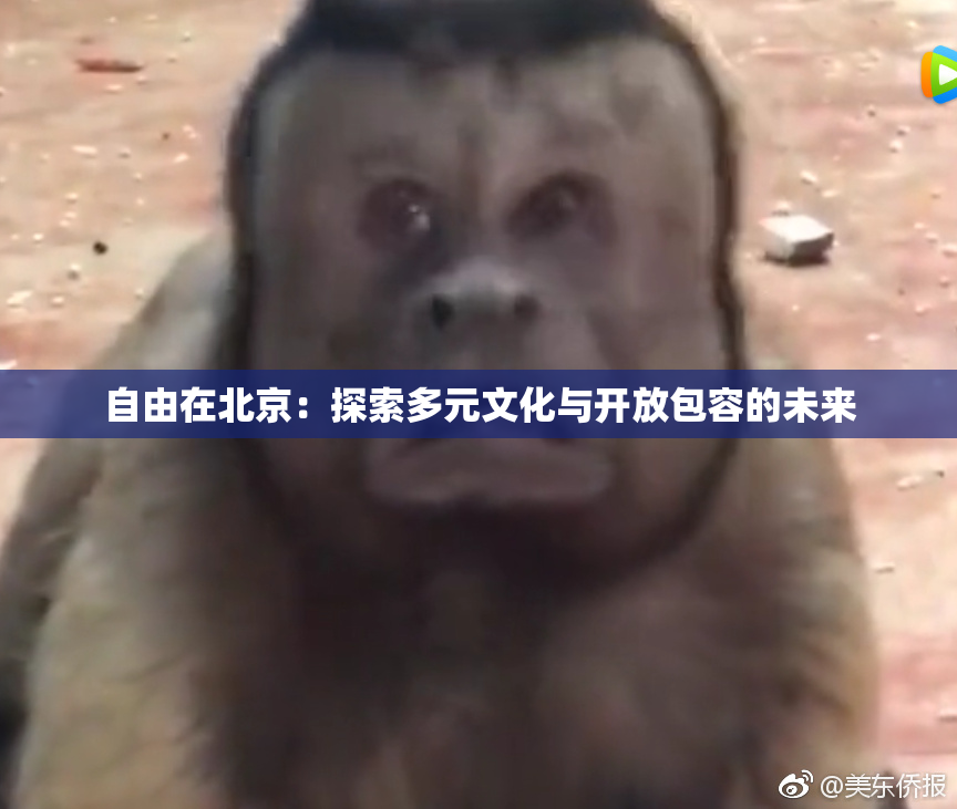 自由在北京：探索多元文化与开放包容的未来