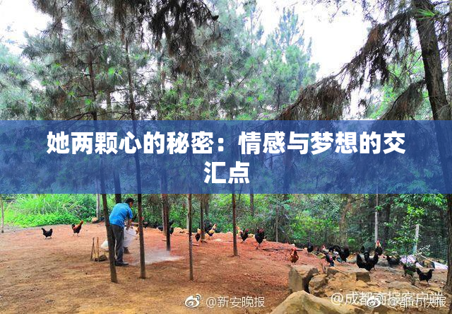 她两颗心的秘密：情感与梦想的交汇点