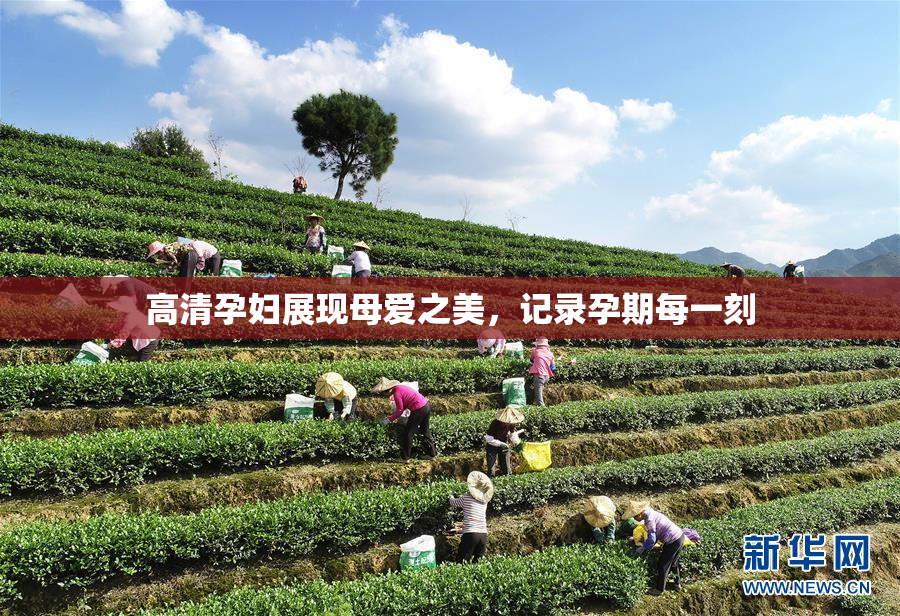 高清孕妇展现母爱之美，记录孕期每一刻