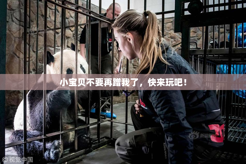 小宝贝不要再蹭我了，快来玩吧！