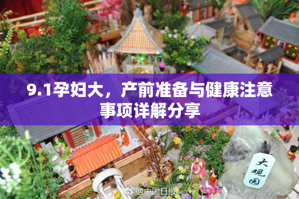 9.1孕妇大，产前准备与健康注意事项详解分享