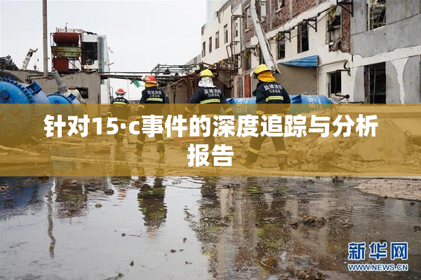 针对15·c事件的深度追踪与分析报告
