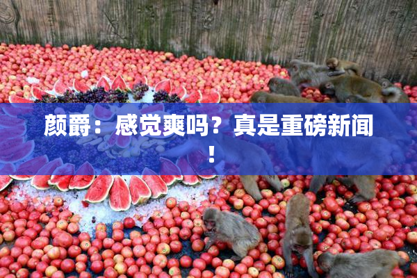 颜爵：感觉爽吗？真是重磅新闻！