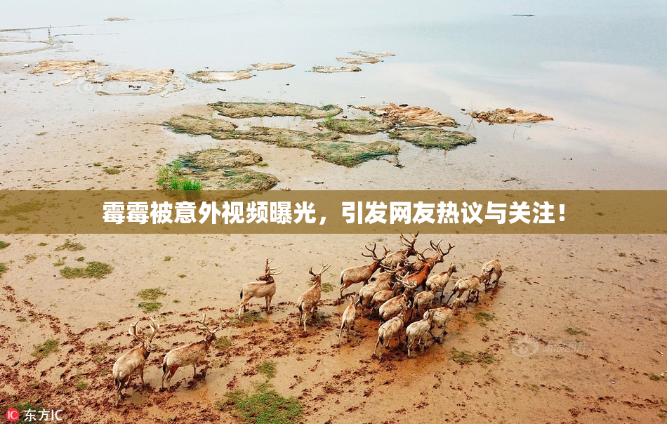霉霉被意外视频曝光，引发网友热议与关注！