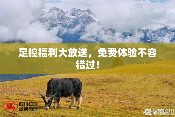足控福利大放送，免费体验不容错过！