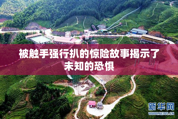 被触手强行扒的惊险故事揭示了未知的恐惧