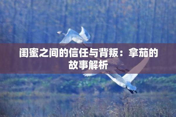 闺蜜之间的信任与背叛：拿茄的故事解析