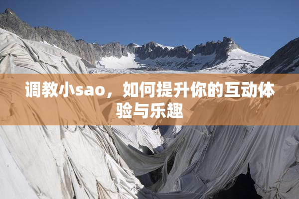 调教小sao，如何提升你的互动体验与乐趣