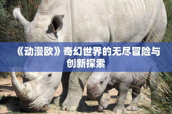 《动漫欧》奇幻世界的无尽冒险与创新探索