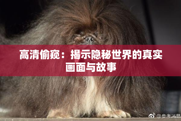 高清偷窥：揭示隐秘世界的真实画面与故事