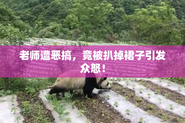 老师遭恶搞，竟被扒掉裙子引发众怒！