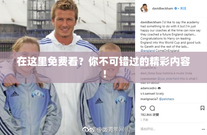 在这里免费看？你不可错过的精彩内容！