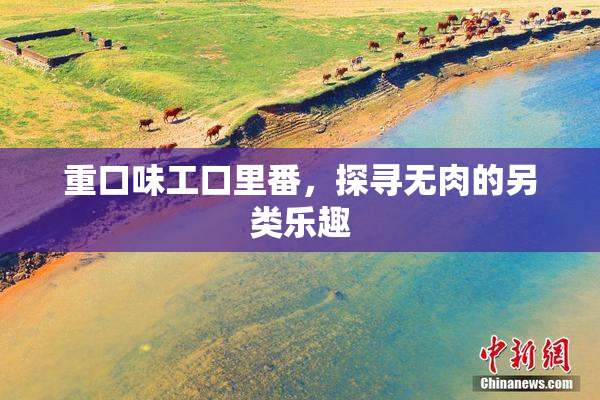 重口味工口里番，探寻无肉的另类乐趣