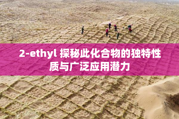 2-ethyl 探秘此化合物的独特性质与广泛应用潜力