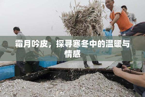 霜月吟皮，探寻寒冬中的温暖与情感
