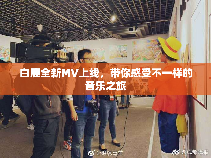 白鹿全新MV上线，带你感受不一样的音乐之旅