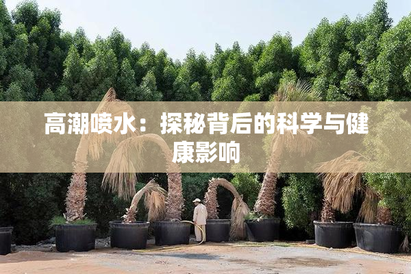 高潮喷水：探秘背后的科学与健康影响