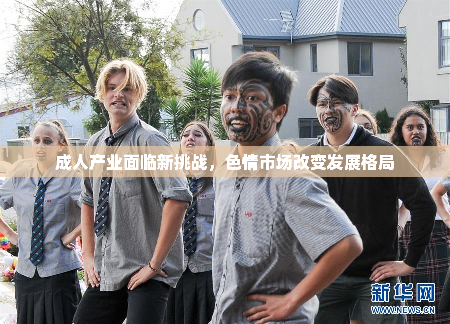 成人产业面临新挑战，色情市场改变发展格局