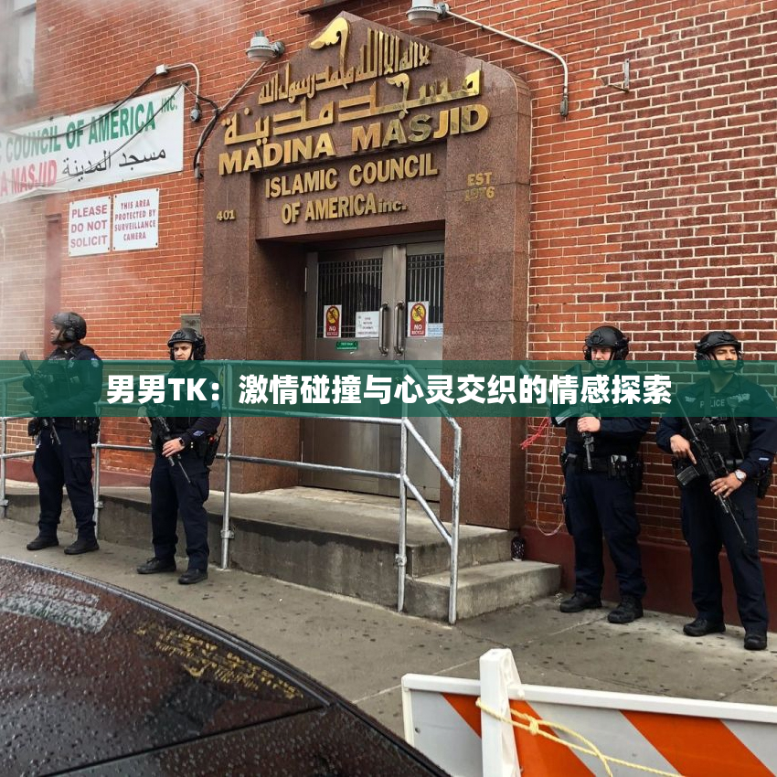 男男TK：激情碰撞与心灵交织的情感探索