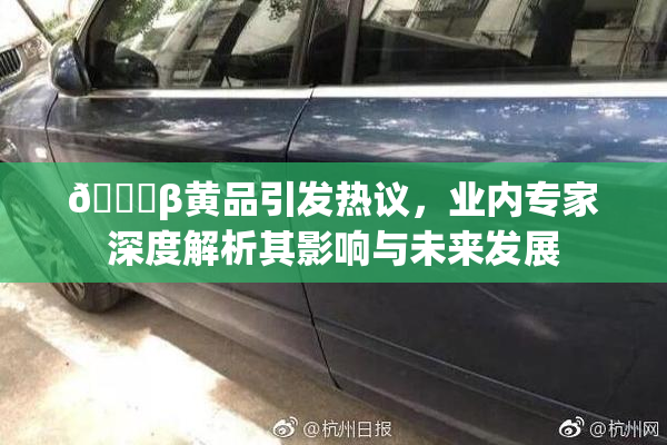 🔞β黄品引发热议，业内专家深度解析其影响与未来发展