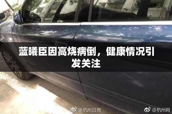 蓝曦臣因高烧病倒，健康情况引发关注
